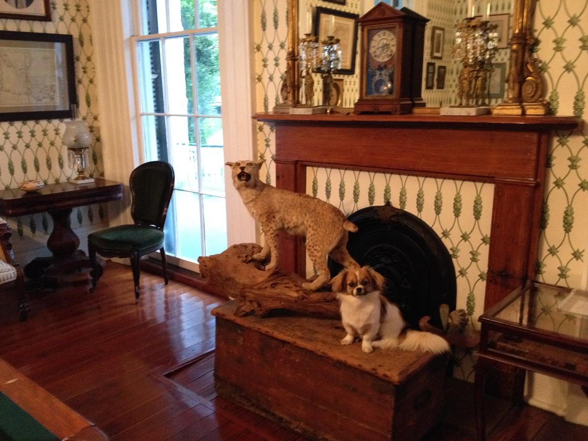Stone House Musical B&B Natchez Bagian luar foto